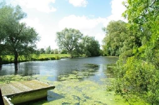 Le Cottage De L'Heron Moulle ภายนอก รูปภาพ
